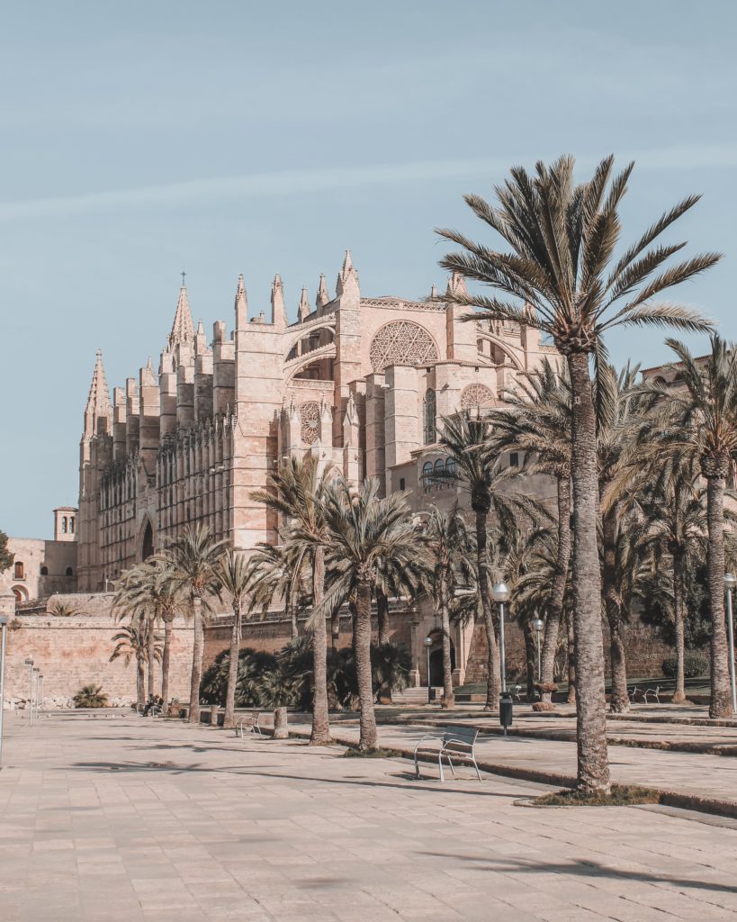 Palma cathedral and palm trees